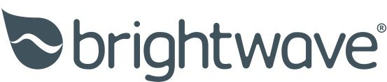 Brightwave Group Logo