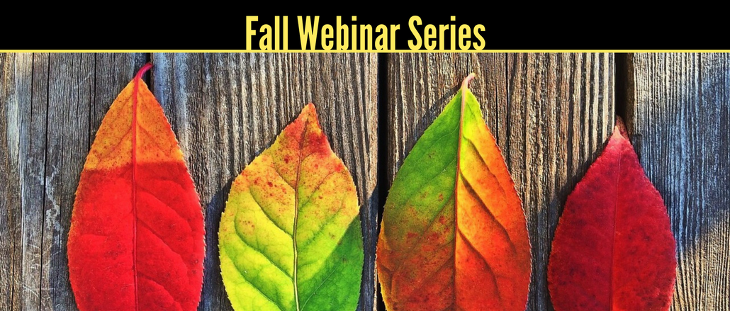 Fall Webinars - LMS Success Series with Independent Analyst John Leh and learning tech innovators