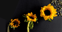 Don't Cut Training. Reuse - Refresh - Rebuild Instead - Find out how with these strategies - Talented Learning blog